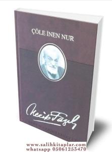Çöle İnen Nur (Deri Ciltli) Çöle İnen Nur (Deri Ciltli)