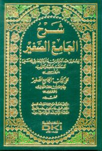 شرح الجامع الصغير على كتاب الجامع الصغير للشيباني