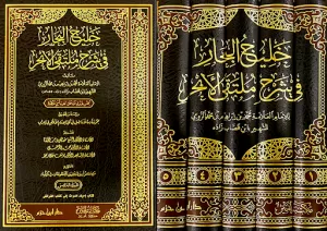 Halicül Bihar fi Şerhi Mültekal Ebhur - خليج البحار في شرح ملتقى الأبحر