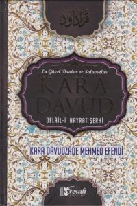 Kara Davud  Delail-i Hayrat Şerhi - ŞAMUA KAĞIT