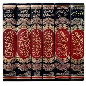 Kütübi Sitte 6 Kitap الكتب الستة دار العالمية