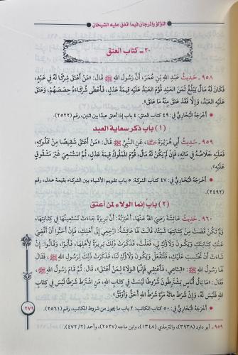 El Lülü vel Mercan - اللؤلؤ والمرجان