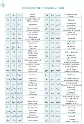 Bina | Kuranı Kerimdeki Bütün Kelime Çözümleriyle Zehra Seven