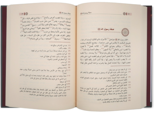 Muhtarat min Edebil Arabi مختارات من أدب العرب Ebul Hasan En Nedvi أبو