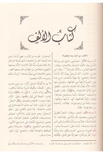 El Misbah ül Münir Fi Ğeribi Şerhil Kebir - المصباح المنير في غريب الش