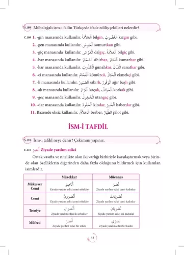Soru Cevaplı Emsile Çalışma Kitabı Zehra Seven