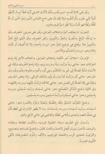 Şerhül Muğni شرح المغنى Muhammed Bin Abdurrahim El Meylani / محمد بن ع