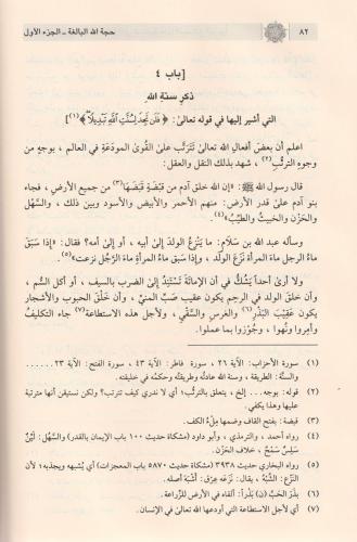 Hüccetullahil Baliğa 2 Cilt Takım حجة الله البالغة Şah Veliyyullah Dih