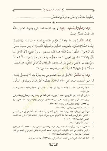 Haşiyetu ibn Abidin 21 Cilt takım - حاشية ابن عابدين Muhammed Emin İbn