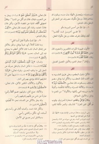 Müfredatü Elfazil Kuran مفردات ألفاظ القرآن Mufaddal Ragıb El Isfahani