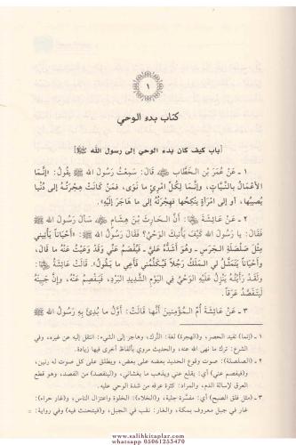 Muhtasaru Sahihil Buhari Et Tecridüs Sarih li Ehadisil Camiis Sahih مخ