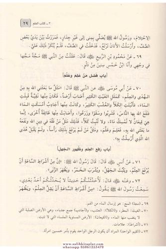 Muhtasaru Sahihil Buhari Et Tecridüs Sarih li Ehadisil Camiis Sahih مخ