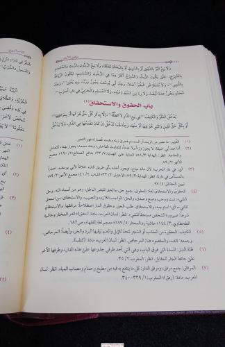 Mülteka El Ebhur ملتقى الأبحر İbrahim El Halebi - إبراهيم الحلبي