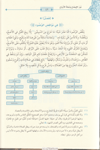 Nurül İzah ve Necatül Ervah fil Fıkhil Hanefi - نور الإيضاح ونجاة الأر