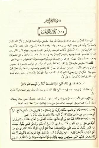 Umdetul Kari Şerhu Sahihil Buhari 20 cilt Takım عمدة القاري شرح صحيح ا