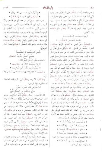Lisanül Arab 9 Cilt لسان العرب Ebül Fazıl Cemaleddin Muhammed bin Müke