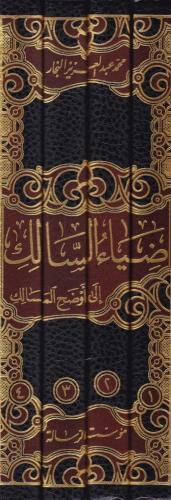 Ziyaus Salik ila evzahil Mesalik ضياء السالك إلى أوضح المسالك